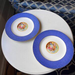 2 Crown Ducal Made in Enlgand Plates 9” ROMA Central Floral Basket Design